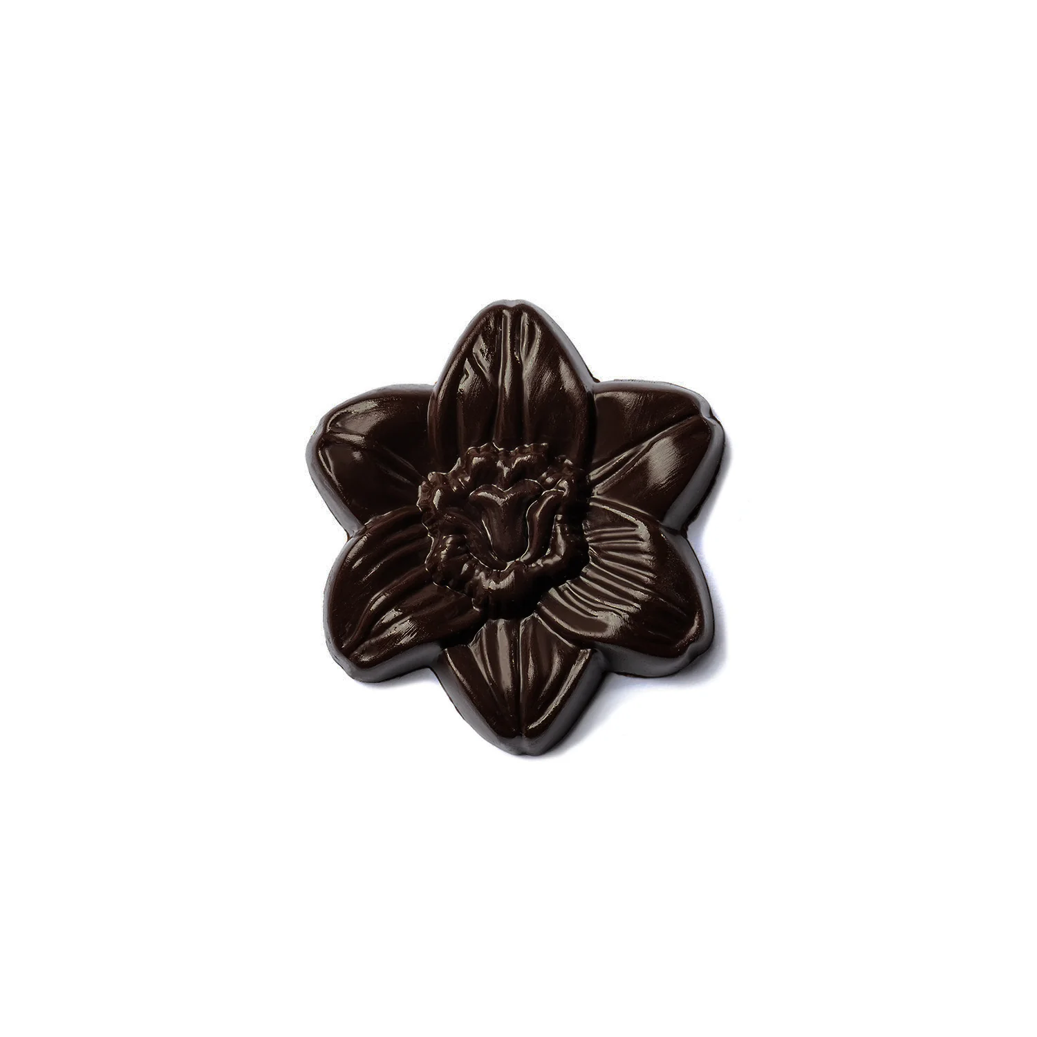 Flores Premium - Image 5