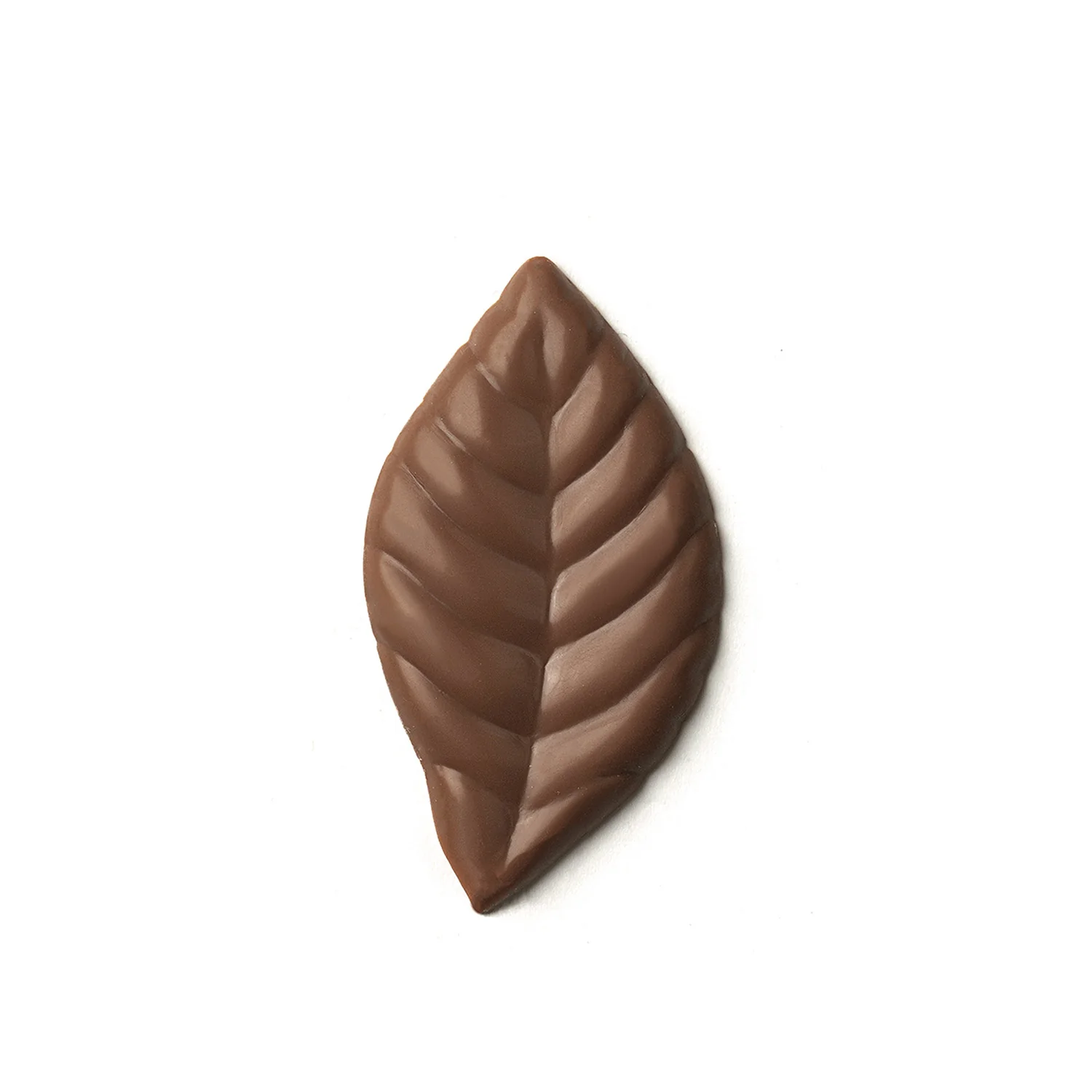 Flores Premium - Image 7